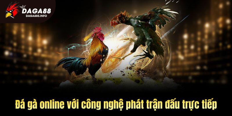 Đá gà online với công nghệ phát trận đấu trực tiếp 