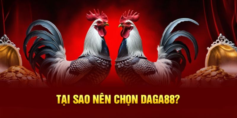 Lý do chúng ta nên thực hiện thao tác đăng ký Daga88