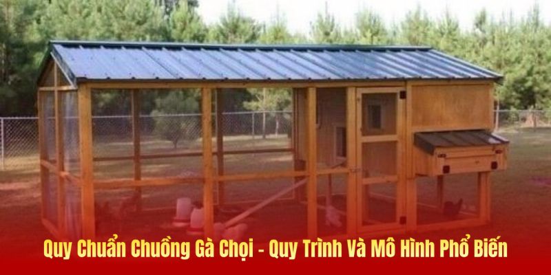 Quy chuẩn chuồng gà chọi và cách làm