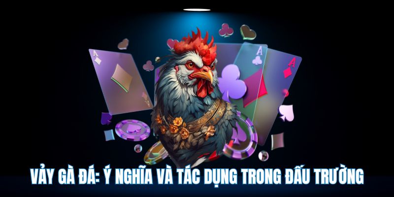 Vảy gà đá: Ý nghĩa và tác dụng trong đấu trường